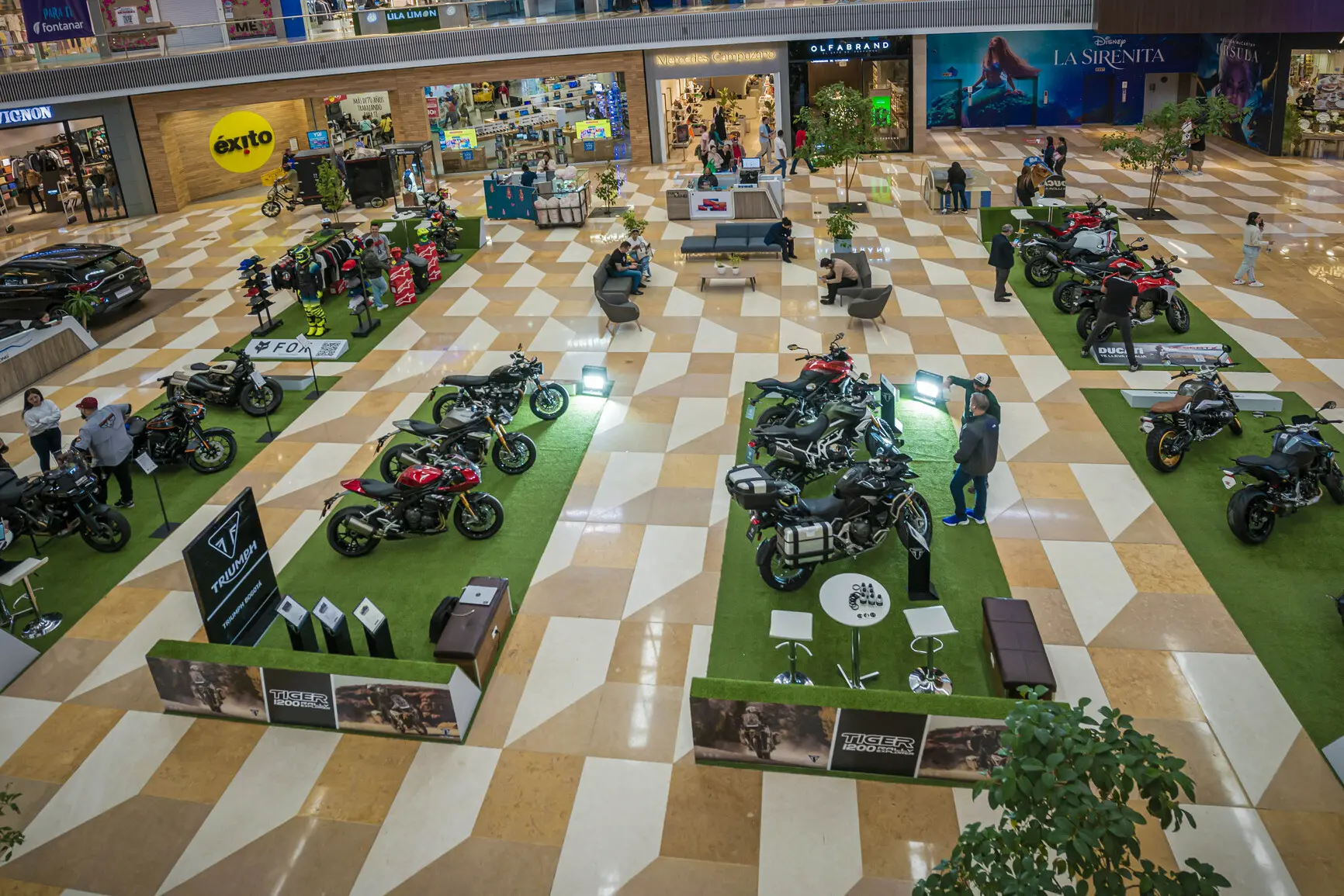 Eventos-exhibicion-nacional-triumph (15)