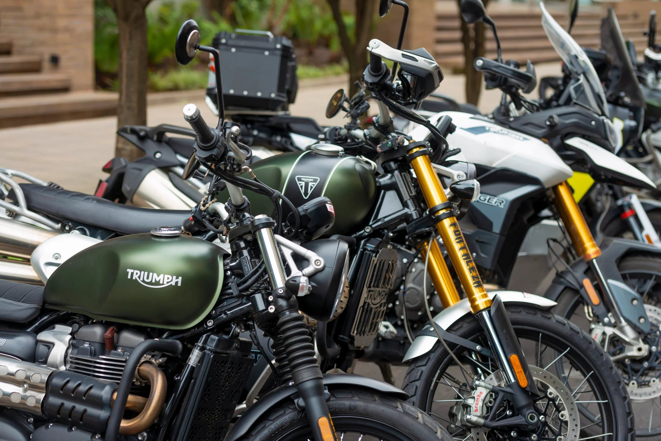 triumph-evento-rodada-01