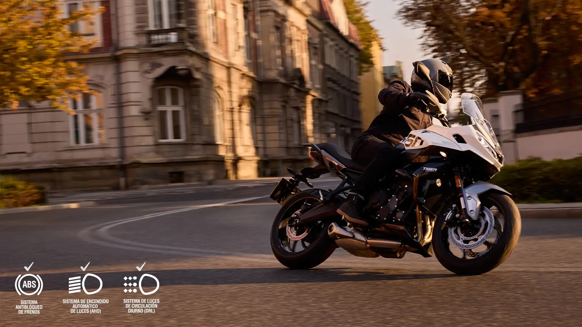 Tiger-sport-660